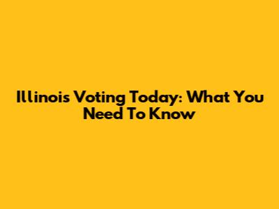Illinois Voting Today: What You Need To Know