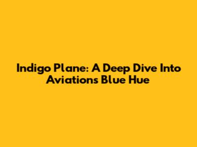 Indigo Plane: A Deep Dive Into Aviation's Blue Hue