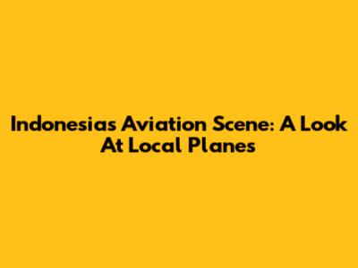 Indonesia's Aviation Scene: A Look At Local Planes