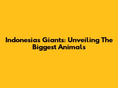 Indonesia's Giants: Unveiling The Biggest Animals