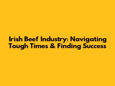 Irish Beef Industry: Navigating Tough Times & Finding Success