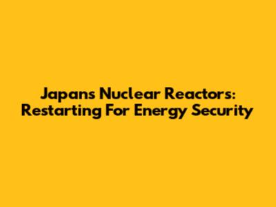 Japan's Nuclear Reactors: Restarting For Energy Security