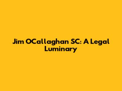 Jim O'Callaghan SC: A Legal Luminary