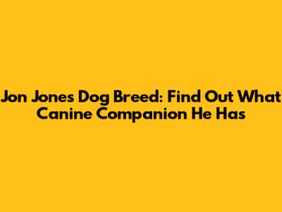 Jon Jones' Dog Breed: Find Out What Canine Companion He Has