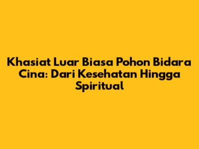 Khasiat Luar Biasa Pohon Bidara Cina: Dari Kesehatan Hingga Spiritual