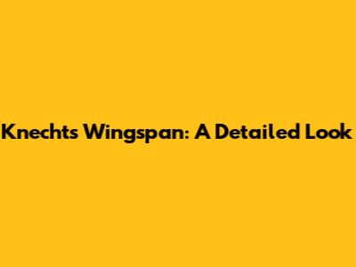 Knecht's Wingspan: A Detailed Look