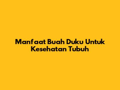 Manfaat Buah Duku Untuk Kesehatan Tubuh