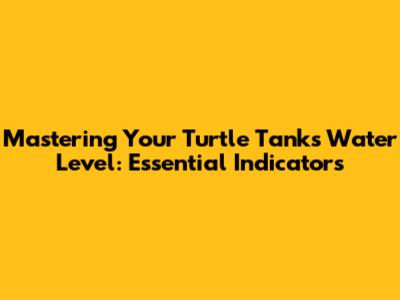 Mastering Your Turtle Tank's Water Level: Essential Indicators
