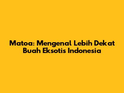 Matoa: Mengenal Lebih Dekat Buah Eksotis Indonesia