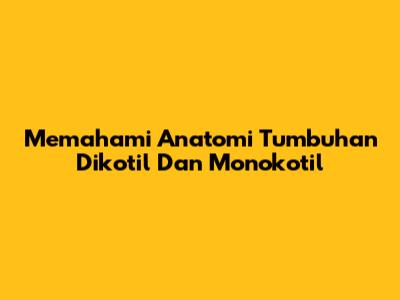 Memahami Anatomi Tumbuhan Dikotil Dan Monokotil