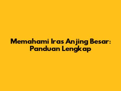 Memahami Iras Anjing Besar: Panduan Lengkap