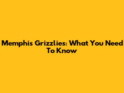 Memphis Grizzlies: What You Need To Know