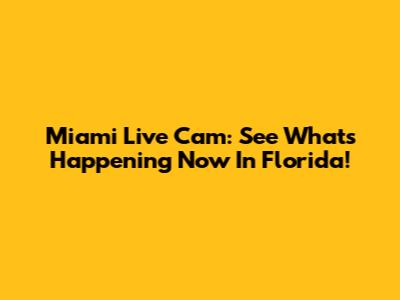 Miami Live Cam: See What's Happening Now In Florida!