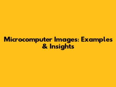 Microcomputer Images: Examples & Insights
