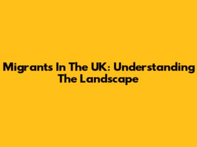 Migrants In The UK: Understanding The Landscape