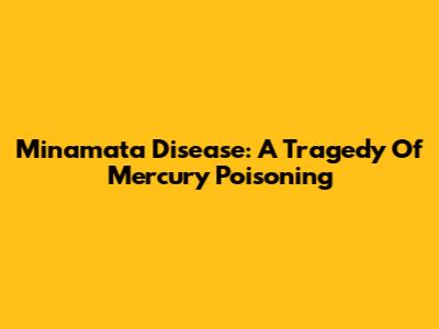 Minamata Disease: A Tragedy Of Mercury Poisoning