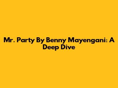 Mr. Party By Benny Mayengani: A Deep Dive