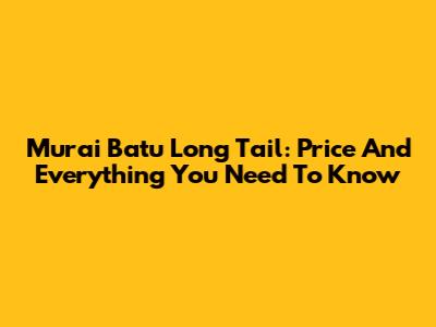 Murai Batu Long Tail: Price And Everything You Need To Know