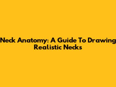 Neck Anatomy: A Guide To Drawing Realistic Necks