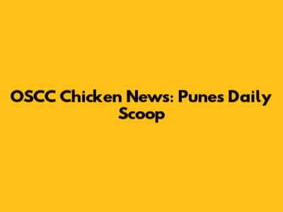 OSCC Chicken News: Pune's Daily Scoop