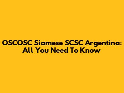 OSCOSC Siamese SCSC Argentina: All You Need To Know