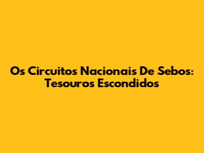 Os Circuitos Nacionais De Sebos: Tesouros Escondidos