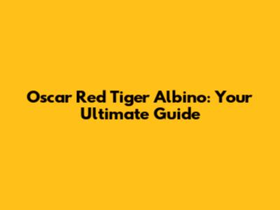 Oscar Red Tiger Albino: Your Ultimate Guide