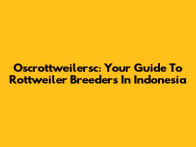 Oscrottweilersc: Your Guide To Rottweiler Breeders In Indonesia