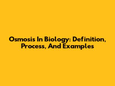 Osmosis In Biology: Definition, Process, And Examples