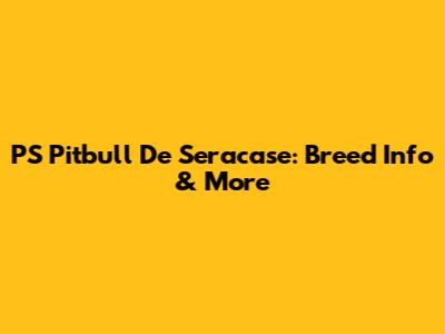 PS Pitbull De Seracase: Breed Info & More
