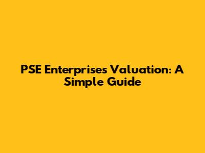 PSE Enterprises Valuation: A Simple Guide