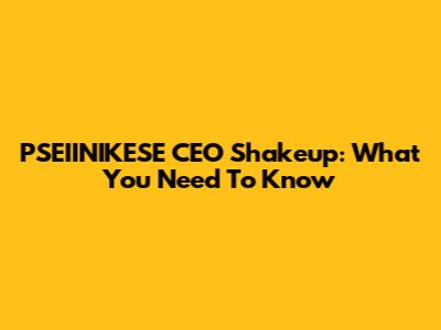 PSEIINIKESE CEO Shakeup: What You Need To Know