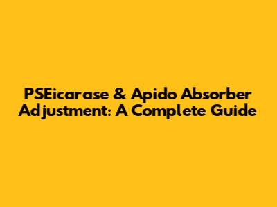 PSEicarase & Apido Absorber Adjustment: A Complete Guide