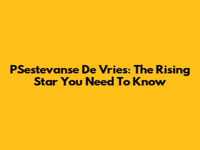 PSestevanse De Vries: The Rising Star You Need To Know