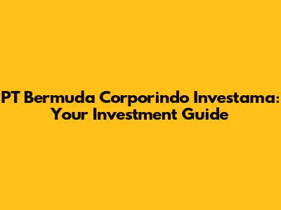 PT Bermuda Corporindo Investama: Your Investment Guide