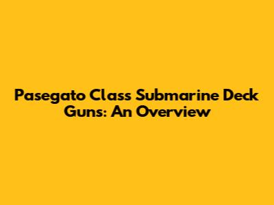 Pasegato Class Submarine Deck Guns: An Overview