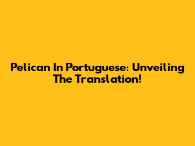 Pelican In Portuguese: Unveiling The Translation!