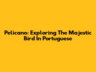 Pelicano: Exploring The Majestic Bird In Portuguese