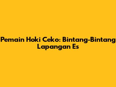 Pemain Hoki Ceko: Bintang-Bintang Lapangan Es