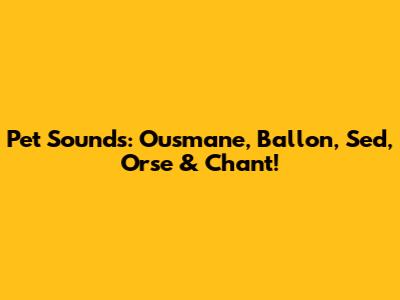 Pet Sounds: Ousmane, Ballon, Sed, Orse & Chant!