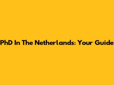 PhD In The Netherlands: Your Guide
