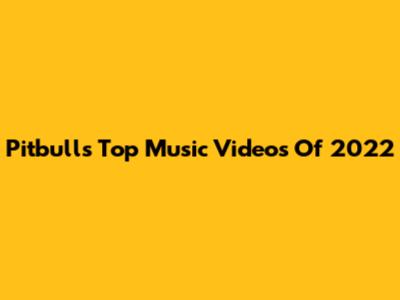 Pitbull's Top Music Videos Of 2022