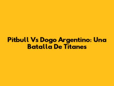 Pitbull Vs Dogo Argentino: Una Batalla De Titanes