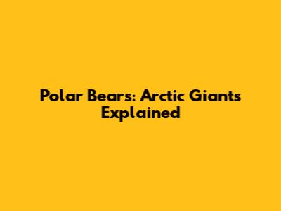 Polar Bears: Arctic Giants Explained