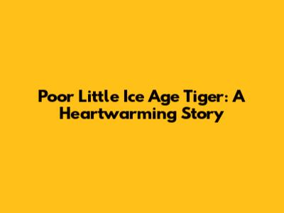 Poor Little Ice Age Tiger: A Heartwarming Story