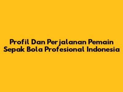 Profil Dan Perjalanan Pemain Sepak Bola Profesional Indonesia