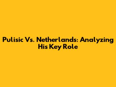 Pulisic Vs. Netherlands: Analyzing His Key Role