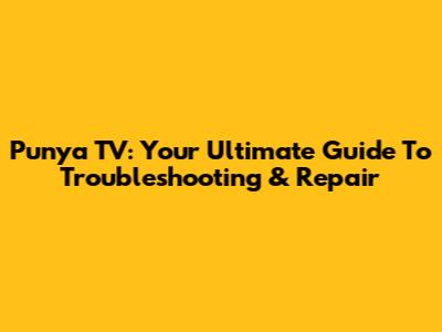 Punya TV: Your Ultimate Guide To Troubleshooting & Repair