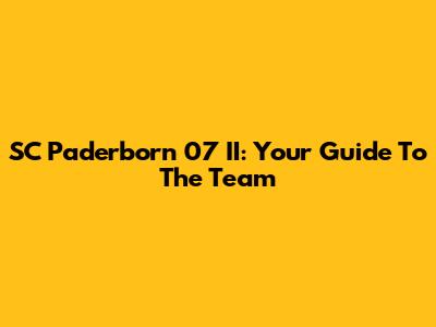 SC Paderborn 07 II: Your Guide To The Team