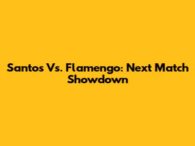 Santos Vs. Flamengo: Next Match Showdown